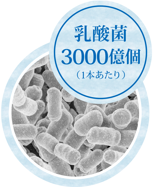 乳酸菌3000億個（1本あたり）