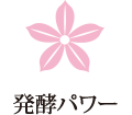 発酵パワー