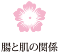 腸と肌の関係
