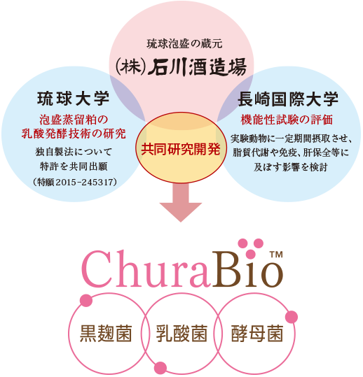 琉球泡盛の蔵元（株）石川酒造場 琉球大学 長崎国際大学 共同研究開発 ChuraBio
