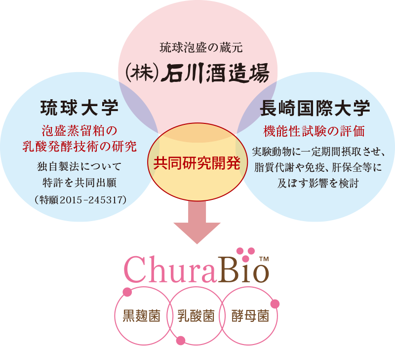 琉球泡盛の蔵元（株）石川酒造場 琉球大学 長崎国際大学 共同研究開発 ChuraBio