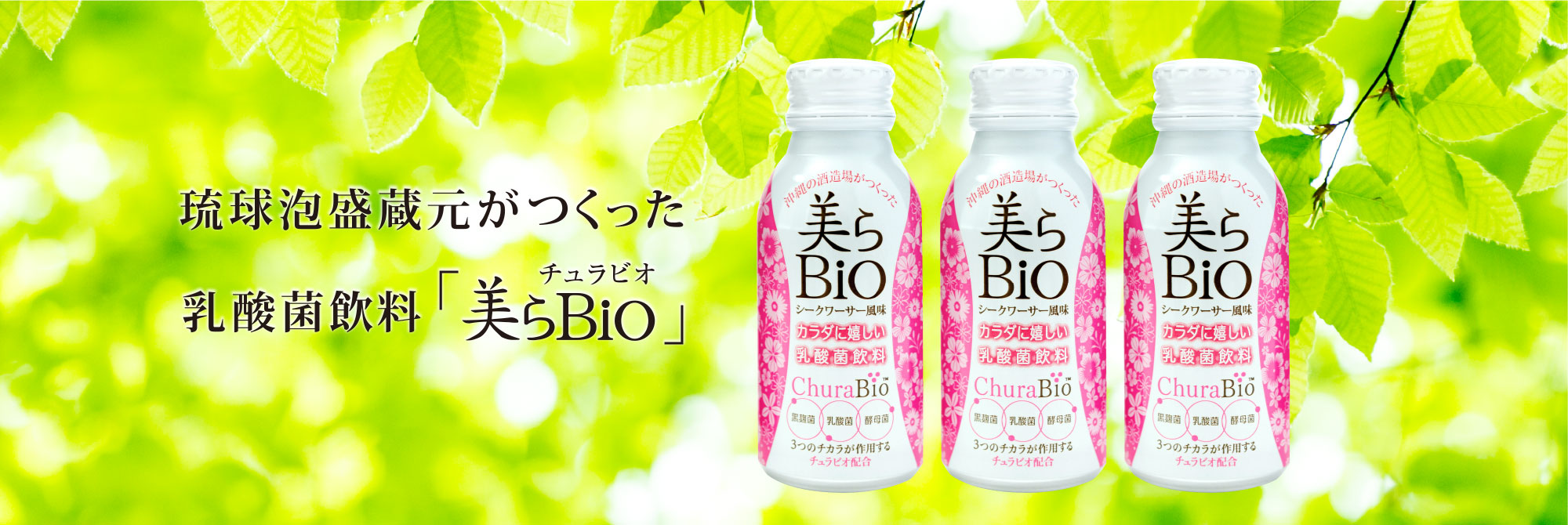 琉球泡盛蔵元がつくった乳酸菌飲料「美らBio」